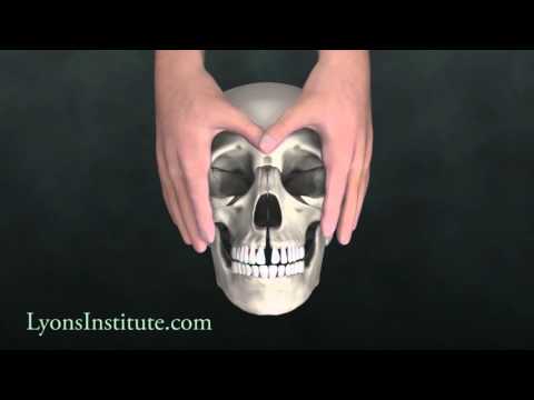 Biodynamic Craniosacral Therapy: The Hard Palate - Orbital Hold