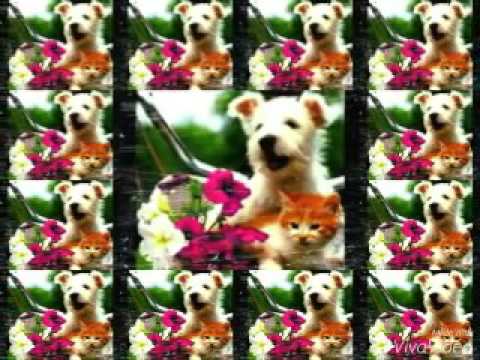 Eu amor de mais!!♡♥♡