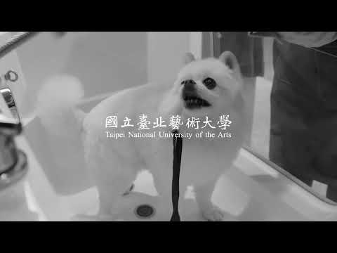 2025青春影展影視類入圍｜好狗命