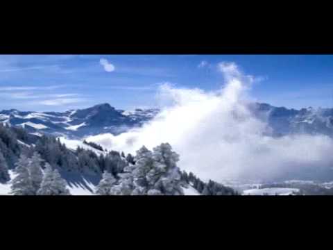 Seba - Snow