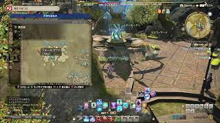 ファイナルファンタジー XIV ヒーラー練習