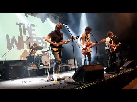 The Whiffs - "She Lies"