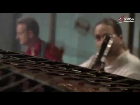 "Der Russische" Anna-Lena Larcher feat. d’Housemusi | Pixners BACKstage (ServusTV)