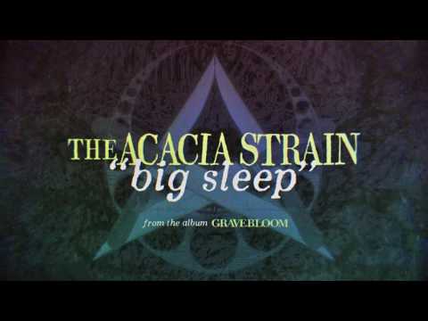 The Acacia Strain - Big Sleep