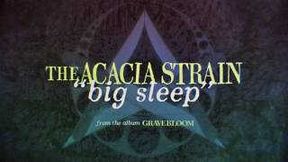 The Acacia Strain - Big Sleep