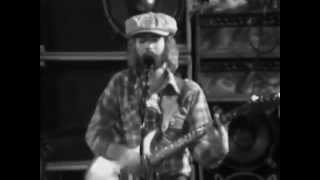 The New Riders of the Purple Sage - Henry - 8/31/1975 - Roosevelt Stadium (Official)