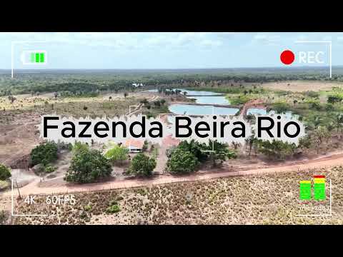 Fazenda Beira Rio em Governador Newton Bello-MA
