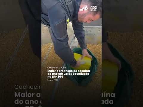 Maior apreensão de cocaína do ano em Goiás é realizada na BR-364