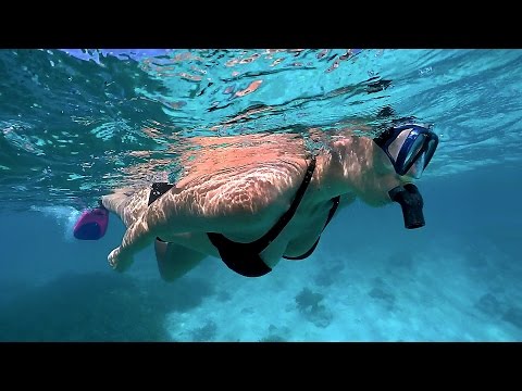 The Snorkel Girl in Bonaire