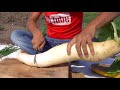 INDIAN FOOD Like Never Before INDIAN COOKING Will Blow Your Mind