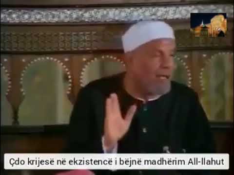 Shejh Sharavi Thotë All-llahu subhanehu ve teala:" Lërini të qetë krijesat e Mia."