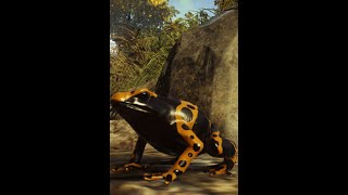 Hitman 2 - WoA - Whittleton Creek | Challengers | Battle Frogs | Old Grudges |