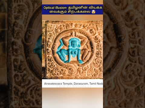 Preeti Tiwari's post tagged #simplejoy