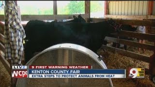 Kenton County fair kicks off