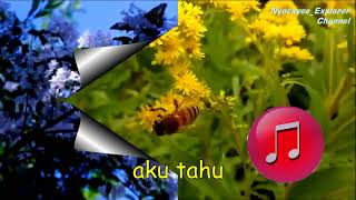 Download lagu Karaoke  Ade Indra - Hatiku Melekat Dihatimu mp3