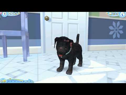 petz dogz 2 trailer petz dogz 2 trailer