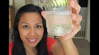 How To Get Rid of Fruit Flies Fast!