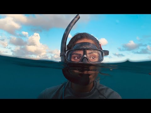 „Canon“ (1686B032) video
