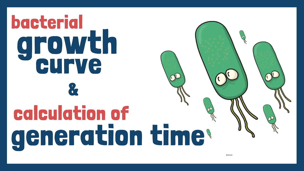 Bacterial Growth Curve & Generation time Calculation