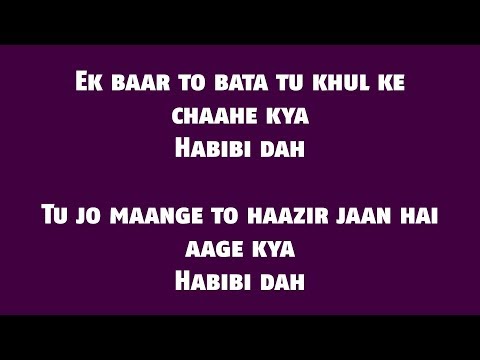 The Naari Naari (Lyrics HD) - Made In China  | Vishal Dadlani