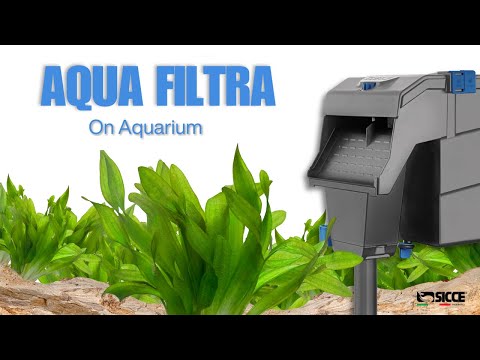 Aqua Filtra Hang on the Back Aquarium Filter | SICCE