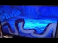 The Jungle Book 1967
