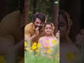 Cheyyandinchamandi Oka Paasam Runa Paasam NeethoUnteChalu Bimbisara Shorts