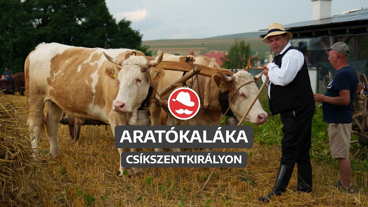 A kaláka a szeretetről szól