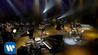 Qué solo estás Lyrics English Translation