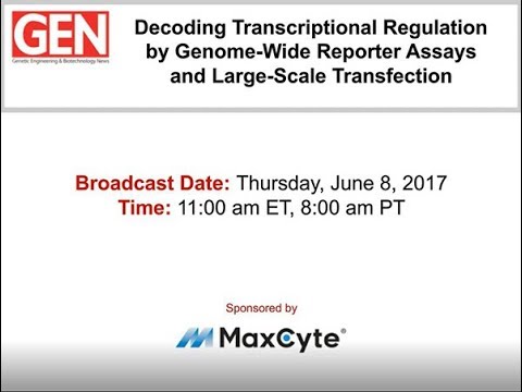 Decoding Transcriptional Regulation by Genome-Wide Reporter Assays and Large-Scale Transfection