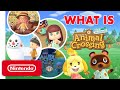 What Is Animal Crossing: New Horizons? A Guide for the Uninitiated