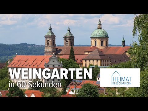 Weingarten in 60 Sekunden - Infovideo
