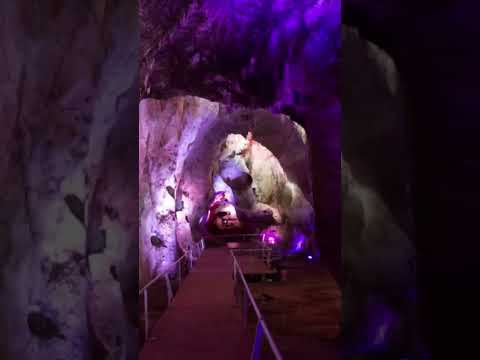 Monte Carmelo Explorando a Antiga Paisagem da Evolução Humana no Monte Carmelo em Israel
