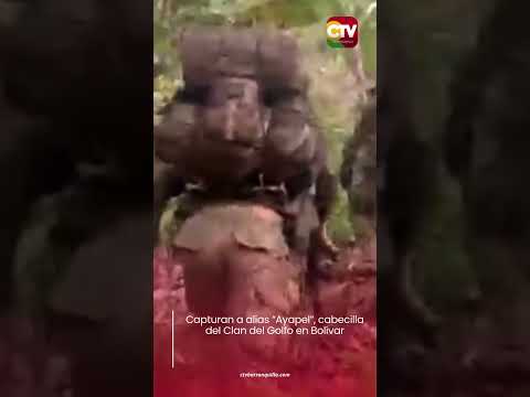 Capturan a alias “Ayapel”, cabecilla del Clan del Golfo en Bolívar