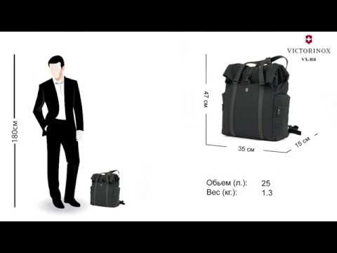 Рюкзак Victorinox Architecture Voltaire Urban Black 25л 