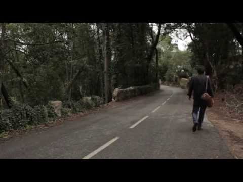 Ricardo Pinto presents Sintra Project - Landscape