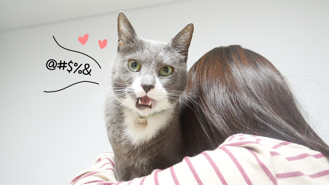 떨리는 목소리로 집사랑 대화 중♥