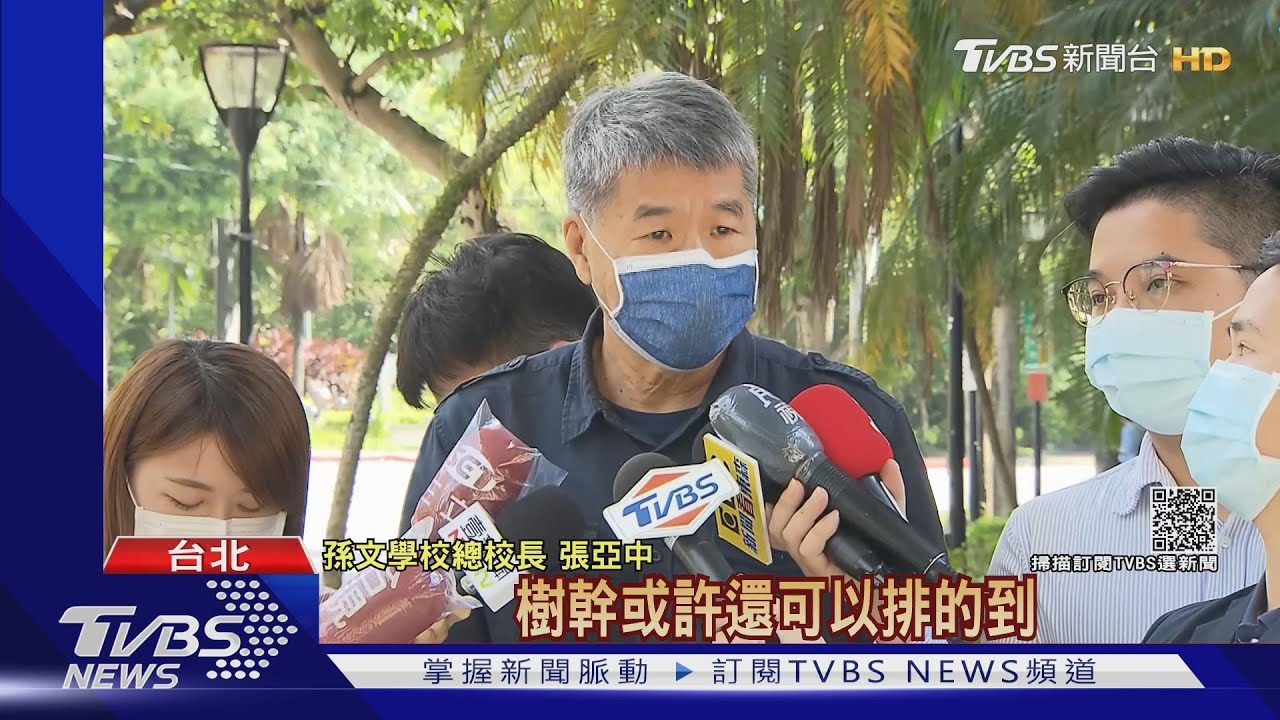 2022選高市長？張亞中高雄得票僅小輸朱