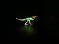 Projection Mapping By David Guo