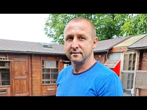 Piotr Bugała - PZHGP 0153 Ruda Śląska II / Porady, szczepienia i choroby gołębi młodych 🥇🏆🎉