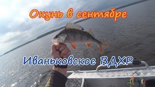 Ловля окуня на водохранилище в сентябре