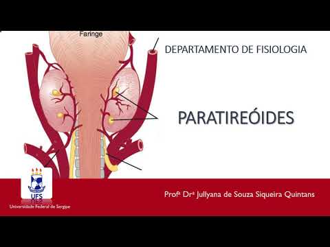 MODULE 2 Lesson 5 PARATHYROID GLANDS