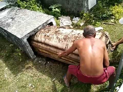 Nilalabas na Kabaong mula sa Nitso