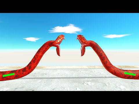 EVERY UNIT VS ITSELF WITH HP BAR ON BRIDGE | ANIMAL REVOLT BATTLE SIMULATOR