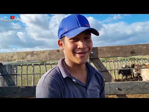 QUEIXO DE TAMANCO EQUIPE DE CURRAL FAZENDA MILHÃS - GRANITO-PE