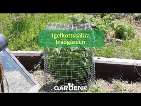 Hedgehog-safe garden - Gardenhacks by GardenR