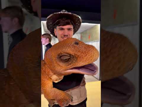 IL PRIMO ESEMPLARE DI DINOSAURO VERO