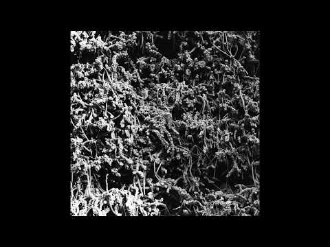 NECROPOLISSEBEHT - Chamber of Chains (taken from the album "Taurunovem - Th’Astraktyan Serfdome")