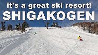 奥志賀&焼額山が神掛かり的に凄すぎた！