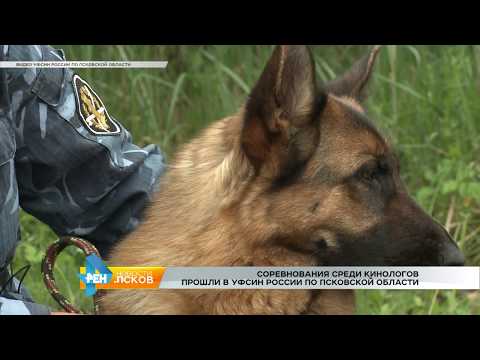 Новости Псков 07.06.2017 # Соревнования среди кинологов